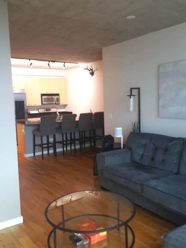 living room with hardwood / wood-style floors and rail lighting