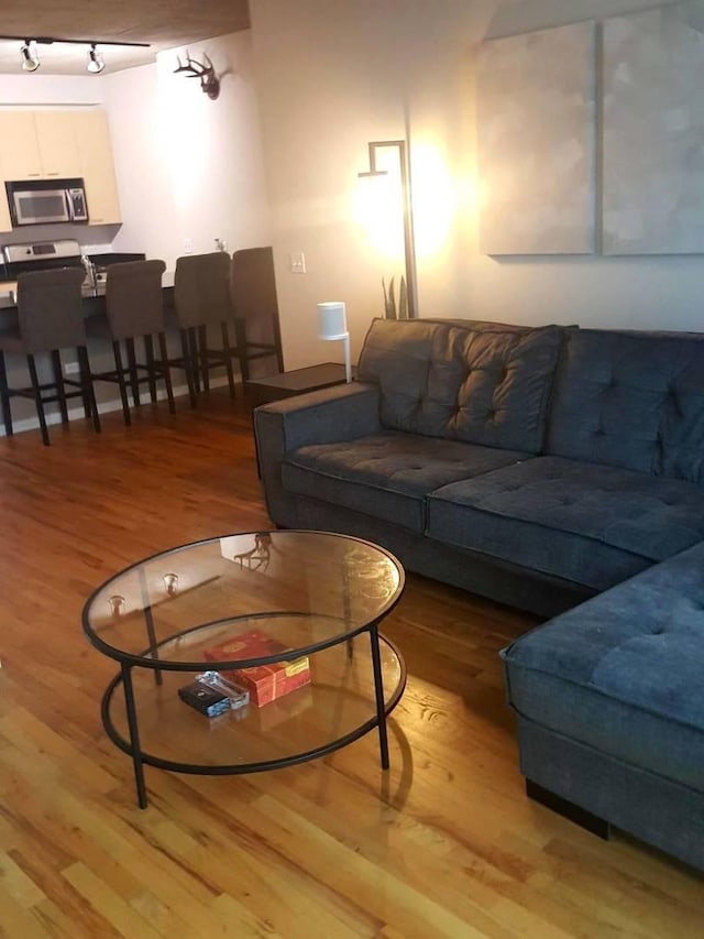 living room with light hardwood / wood-style floors