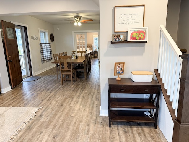 dining area with plenty of natural light, ceiling fan, and light wood-type flooring