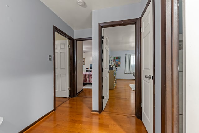 corridor with light wood-type flooring