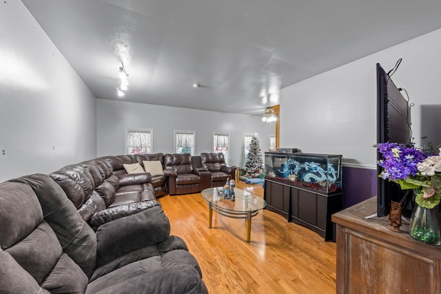 living room featuring ceiling fan and light hardwood / wood-style floors