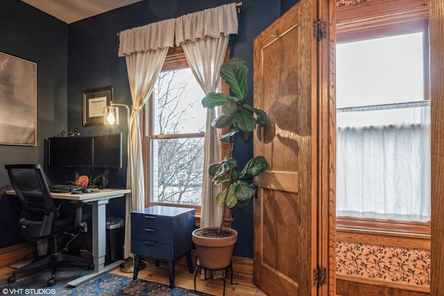 office space featuring hardwood / wood-style flooring