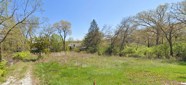 312 S Nolton Ave, Willow Springs IL, 60480 land for sale