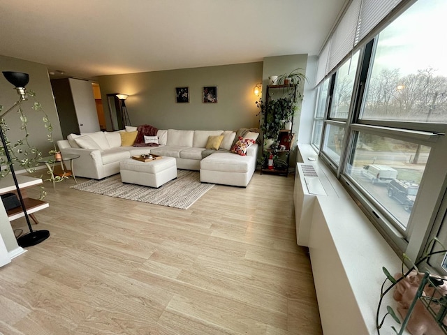 living room featuring light hardwood / wood-style floors