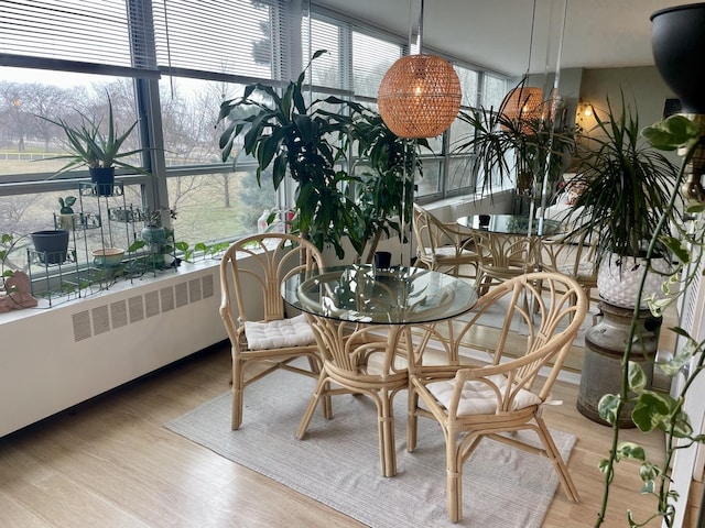 dining space featuring hardwood / wood-style flooring, a healthy amount of sunlight, and radiator heating unit