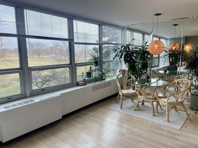 sunroom / solarium with radiator