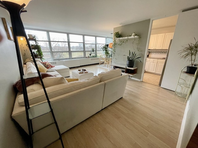 living room featuring light hardwood / wood-style flooring