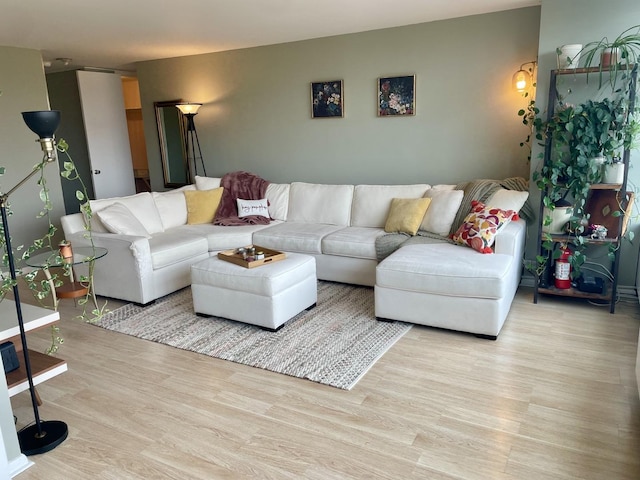 living room featuring light hardwood / wood-style floors