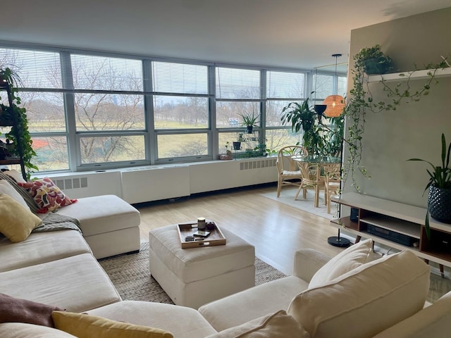 living room featuring wood-type flooring