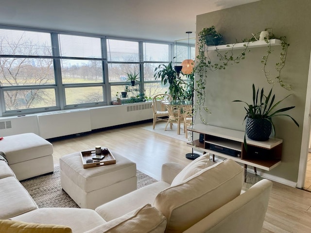 living room featuring light hardwood / wood-style flooring