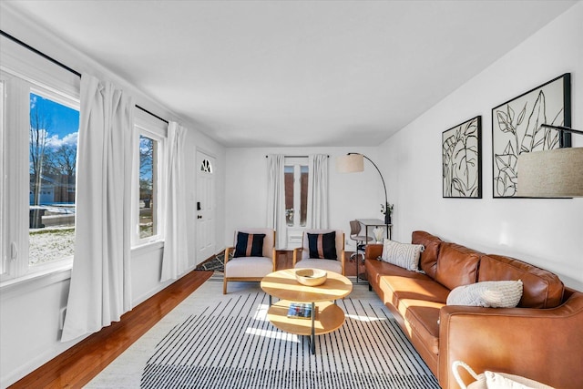 living room with hardwood / wood-style flooring