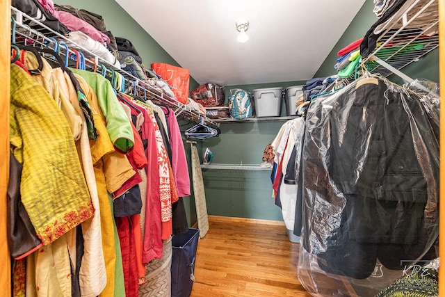 spacious closet featuring wood finished floors