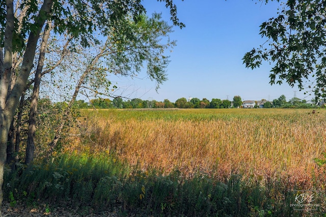 view of landscape with a rural view