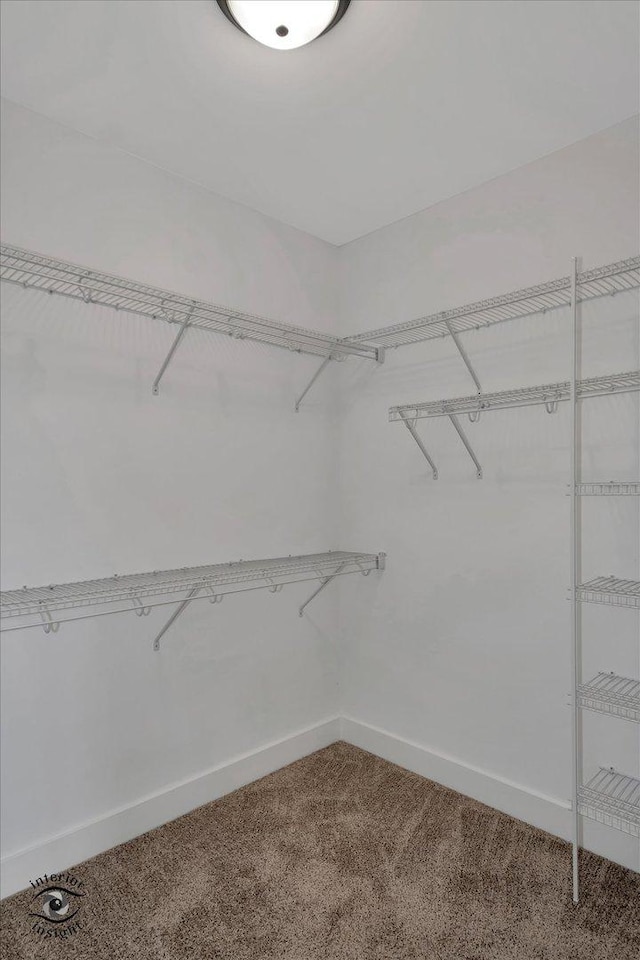 spacious closet with carpet flooring