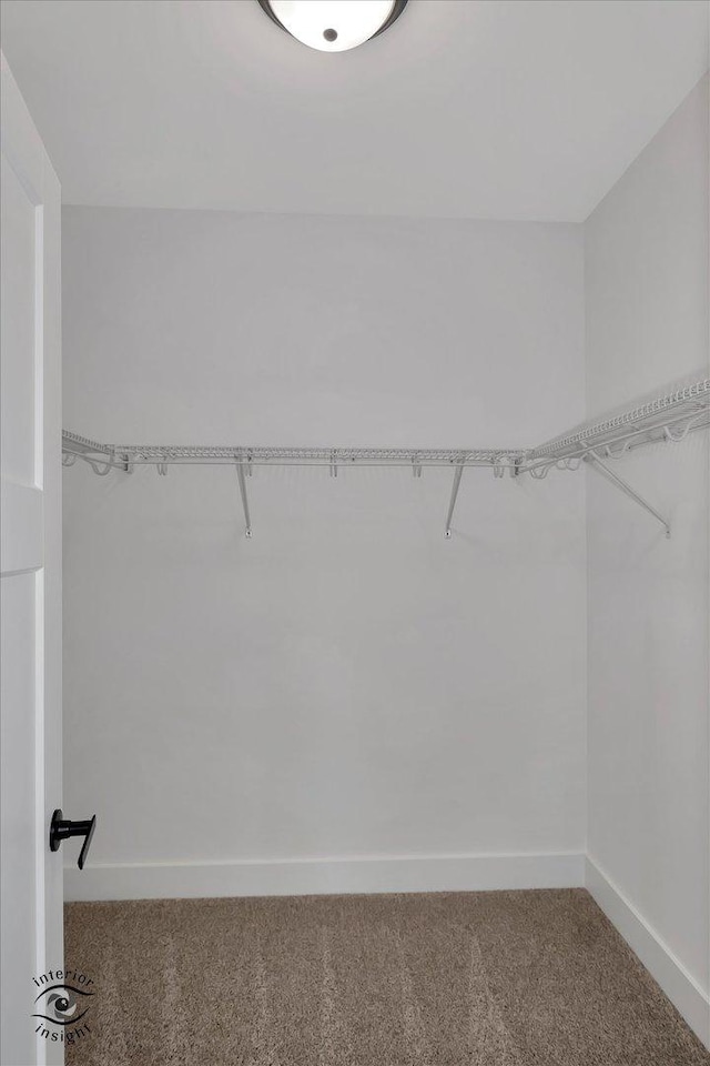 spacious closet with carpet