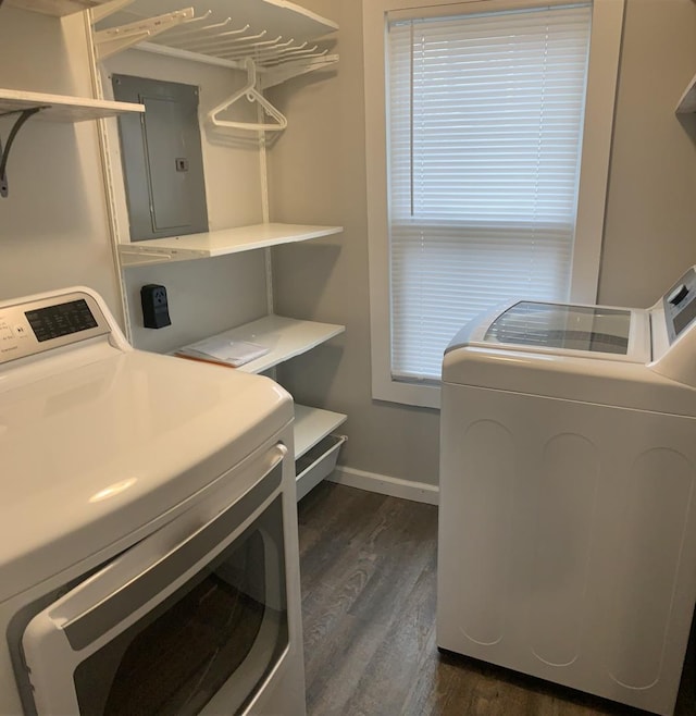 clothes washing area with separate washer and dryer, dark wood-type flooring, and electric panel