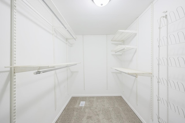 spacious closet featuring carpet