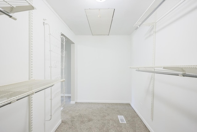 walk in closet with light colored carpet