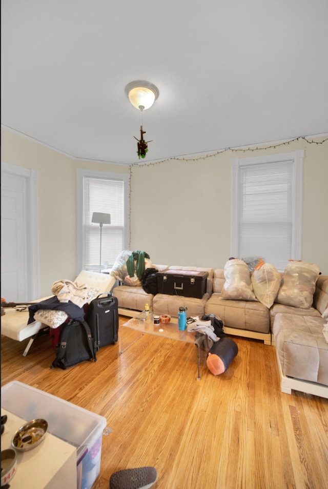 living room featuring light wood-type flooring