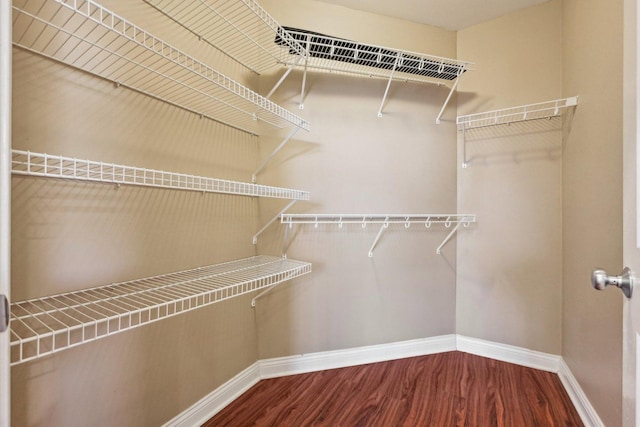 spacious closet featuring wood finished floors