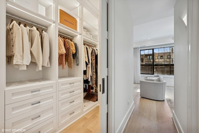 view of closet