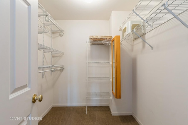 spacious closet with carpet