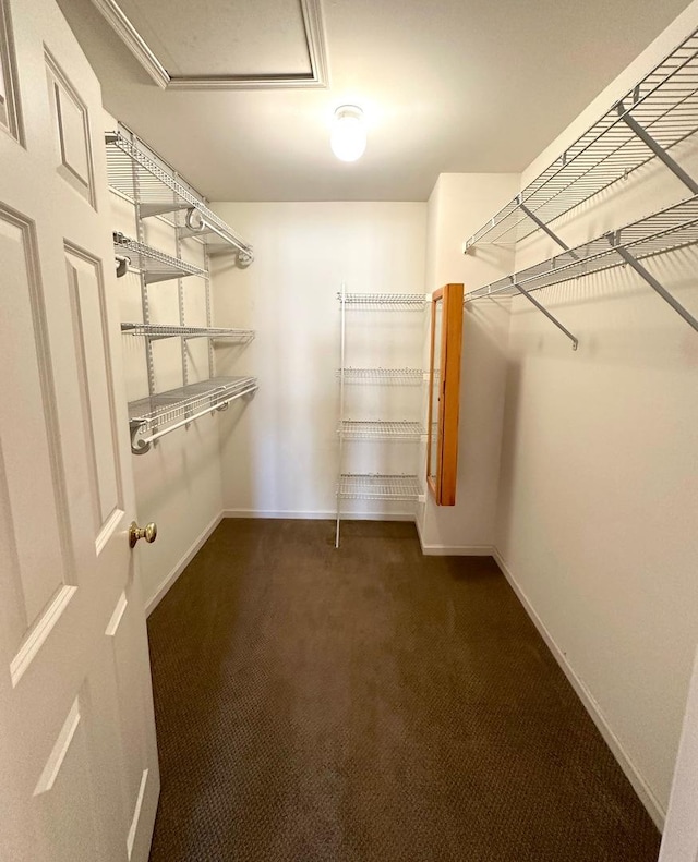 walk in closet featuring attic access and carpet flooring