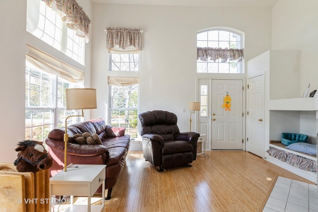 living room with wood-type flooring and a high ceiling