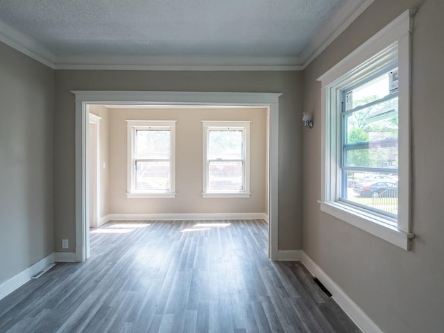 unfurnished room with a textured ceiling, plenty of natural light, and crown molding