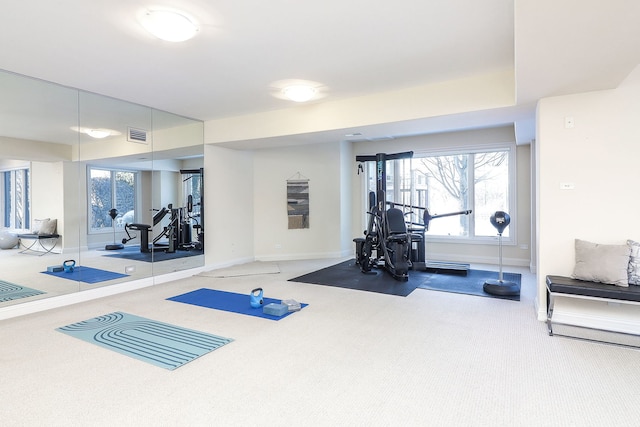 workout room featuring carpet floors