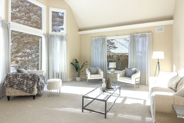 carpeted living room with high vaulted ceiling