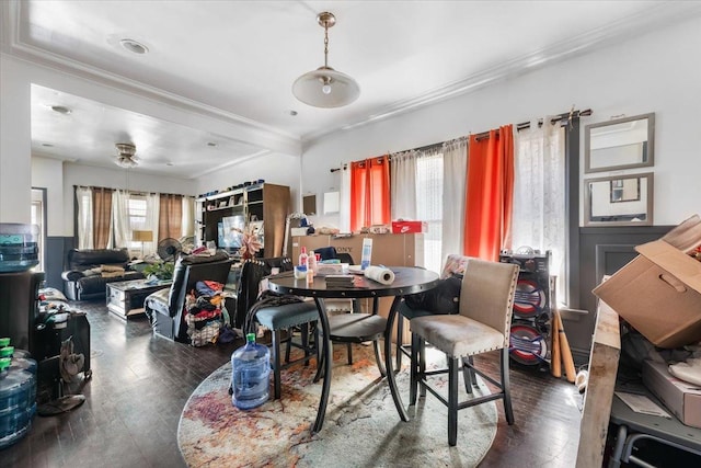 dining room featuring ceiling fan, a healthy amount of sunlight, dark hardwood / wood-style flooring, and crown molding