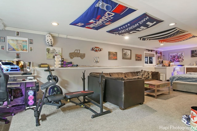 interior space featuring crown molding and carpet