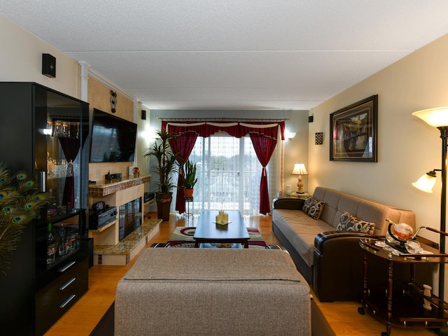 living room featuring a tiled fireplace and light hardwood / wood-style floors