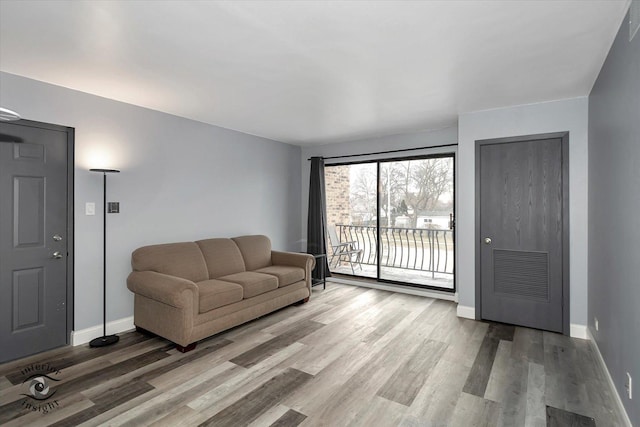 living room featuring wood-type flooring