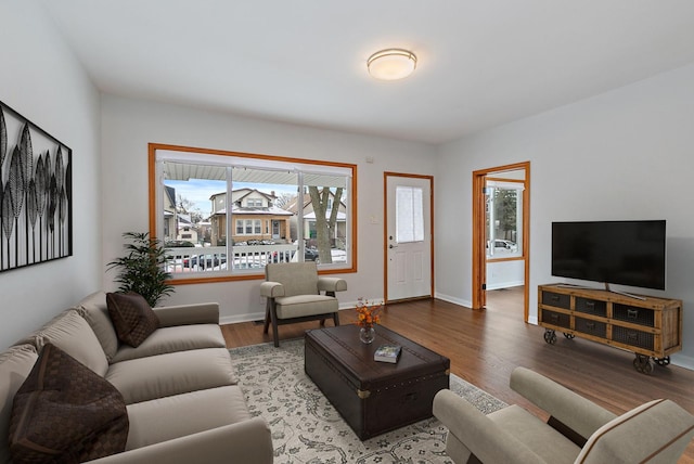 living room featuring wood-type flooring