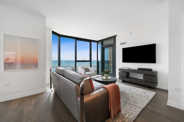 living room featuring floor to ceiling windows and dark wood-type flooring