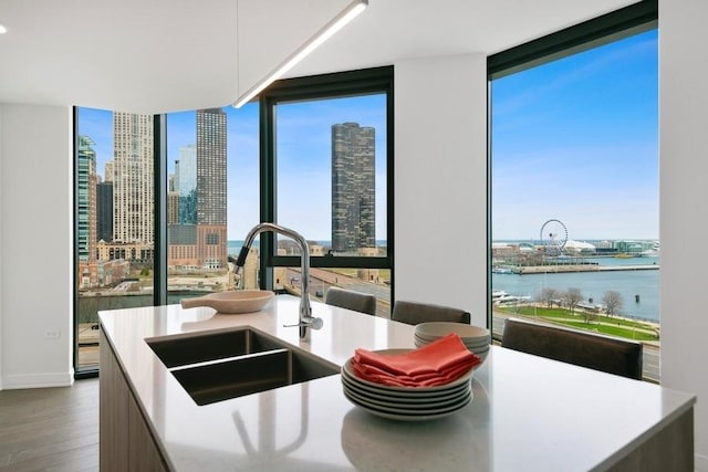 kitchen featuring hardwood / wood-style floors, a water view, a wall of windows, and sink