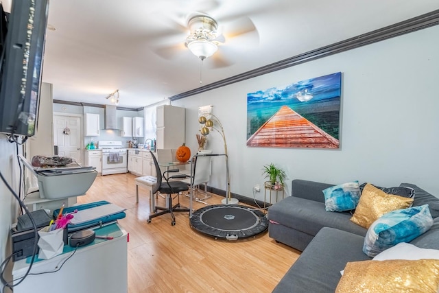 living room featuring ceiling fan, crown molding, and light hardwood / wood-style flooring