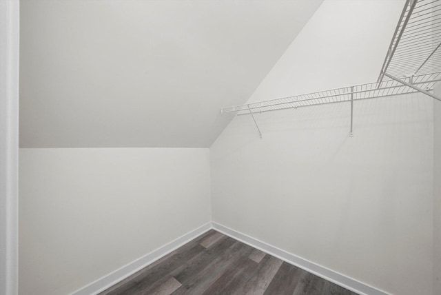 walk in closet featuring lofted ceiling and dark hardwood / wood-style floors