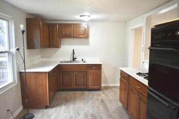 kitchen featuring light wood-type flooring, black double oven, and sink