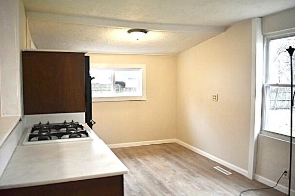 kitchen featuring white gas cooktop, dark brown cabinets, plenty of natural light, and light wood-type flooring