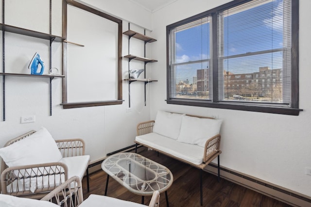 living area featuring wood-type flooring, radiator, and a baseboard radiator