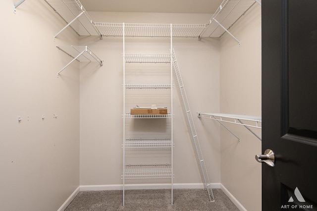 spacious closet with carpet floors