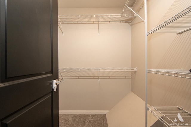 spacious closet featuring carpet floors