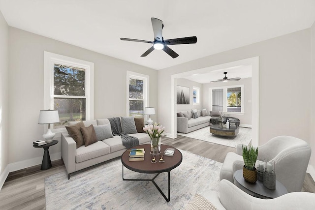 living room with ceiling fan and light hardwood / wood-style flooring