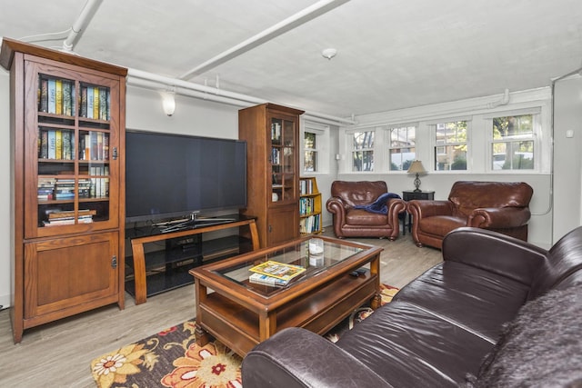 living room featuring light hardwood / wood-style floors