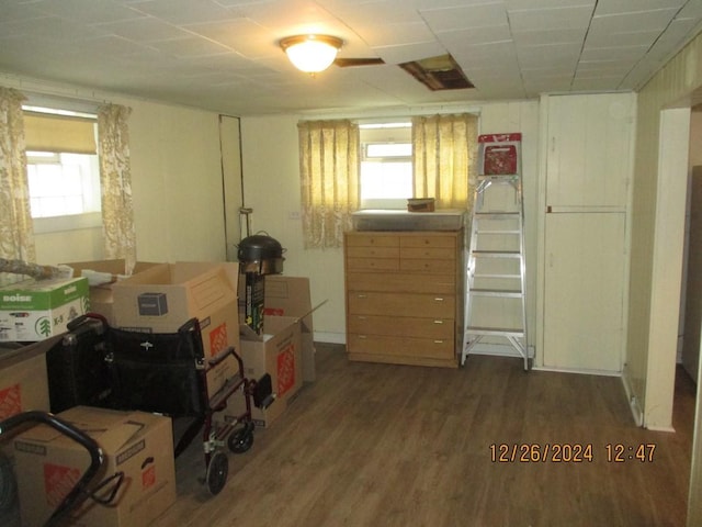 interior space with hardwood / wood-style flooring and multiple windows