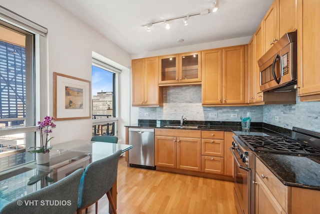 kitchen with light hardwood / wood-style floors, decorative backsplash, sink, appliances with stainless steel finishes, and dark stone counters