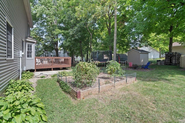 view of yard featuring a trampoline, a storage shed, and a deck